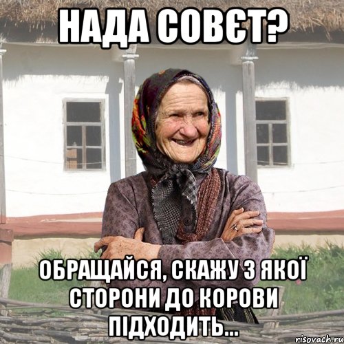 Нада совєт? Обращайся, скажу з якої сторони до корови підходить..., Мем советы Баби Нюри