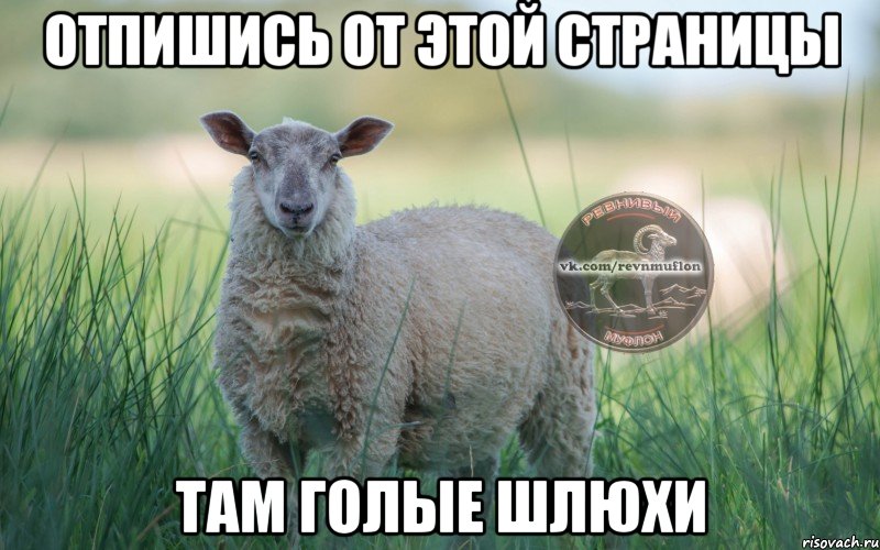 Отпишись от этой страницы там голые шлюхи