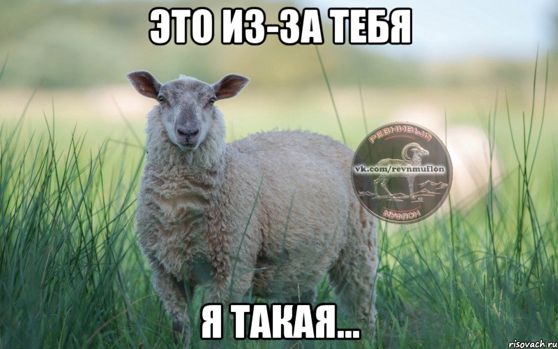 Это из-за тебя я такая...