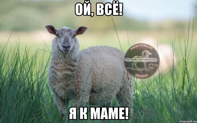 ой, всё! я к маме!, Мем  Создать мем Ревнивая Овечка 1