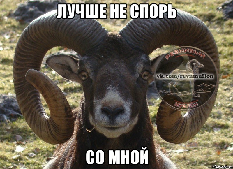 лучше не спорь со мной