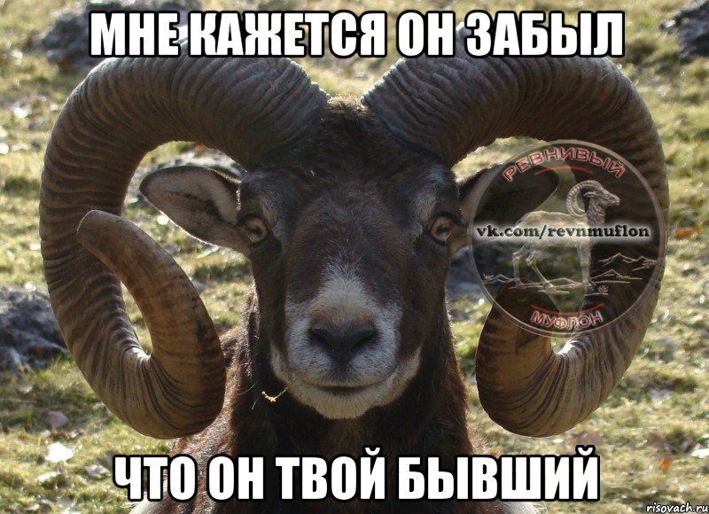 мне кажется он забыл что он твой бывший