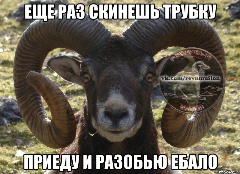 еще раз скинешь трубку приеду и разобью ебало