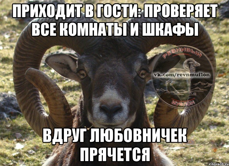 приходит в гости: проверяет все комнаты и шкафы вдруг любовничек прячется
