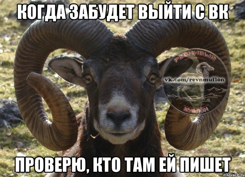 когда забудет выйти с вк проверю, кто там ей пишет