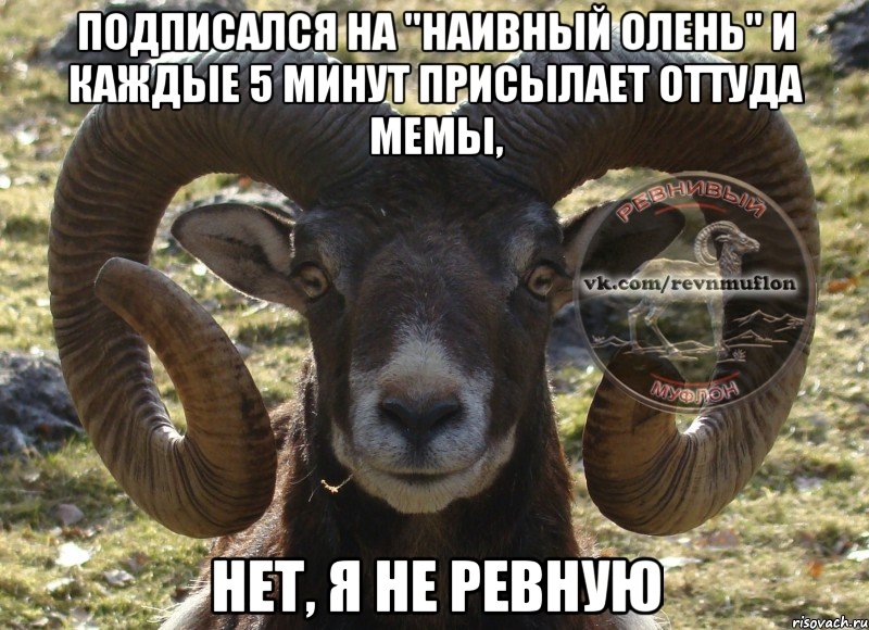 Подписался на "Наивный Олень" и каждые 5 минут присылает оттуда мемы, нет, я не ревную