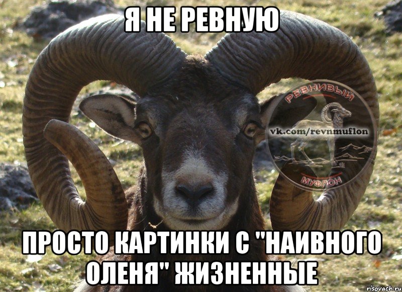 я не ревную просто картинки с "наивного оленя" жизненные