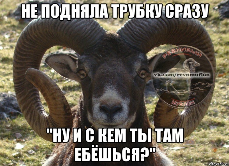 Не подняла трубку сразу "Ну и с кем ты там ебёшься?"