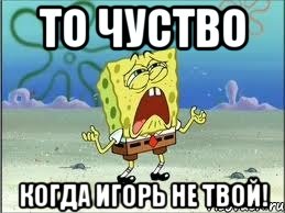 То чуство Когда Игорь не твой!, Мем Спанч Боб плачет