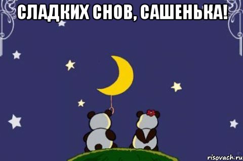 Сладких снов, Сашенька! , Мем Спокойной ночи Саша