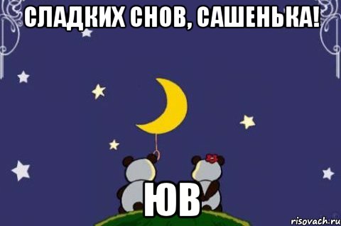 Сладких снов, Сашенька! ЮВ