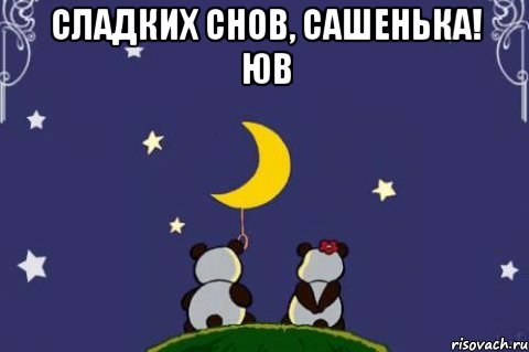 Сладких снов, Сашенька! ЮВ , Мем Спокойной ночи Саша