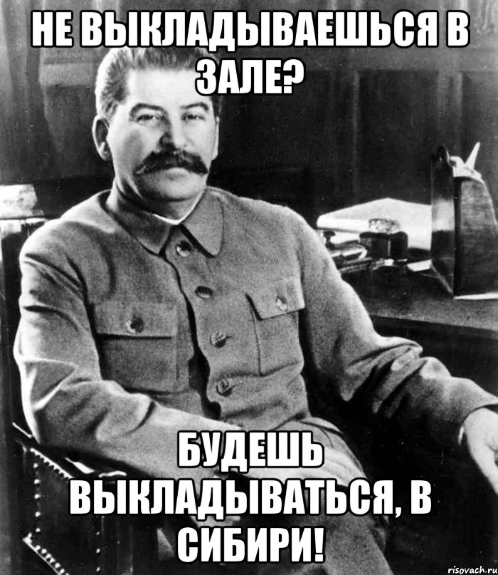 Не выкладываешься в зале? Будешь выкладываться, в Сибири!, Мем  иосиф сталин