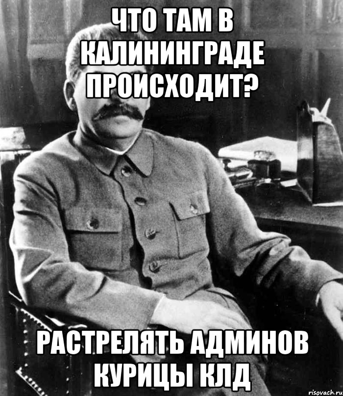 Что там в калининграде происходит? растрелять админов курицы клд, Мем  иосиф сталин