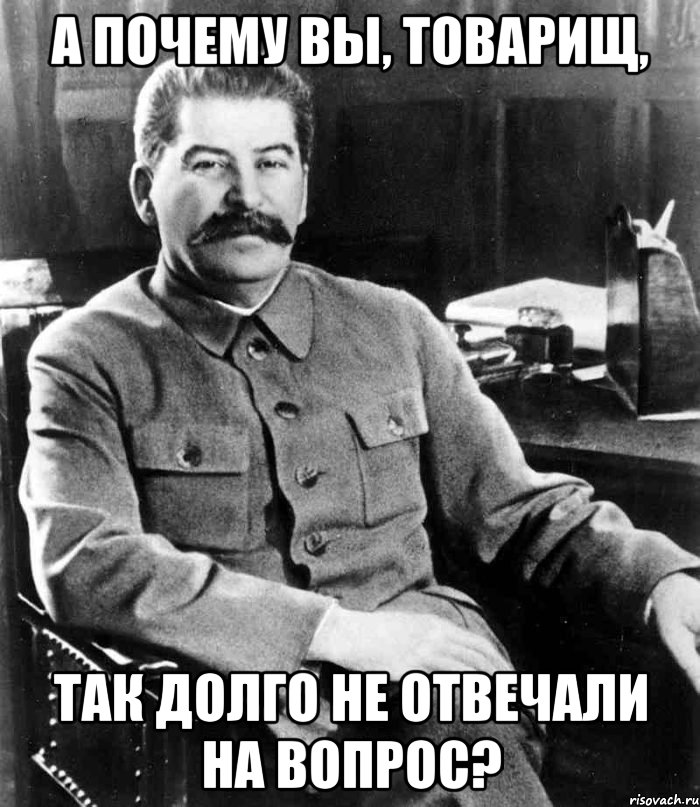 А почему вы, Товарищ, Так долго не отвечали на вопрос?, Мем  иосиф сталин