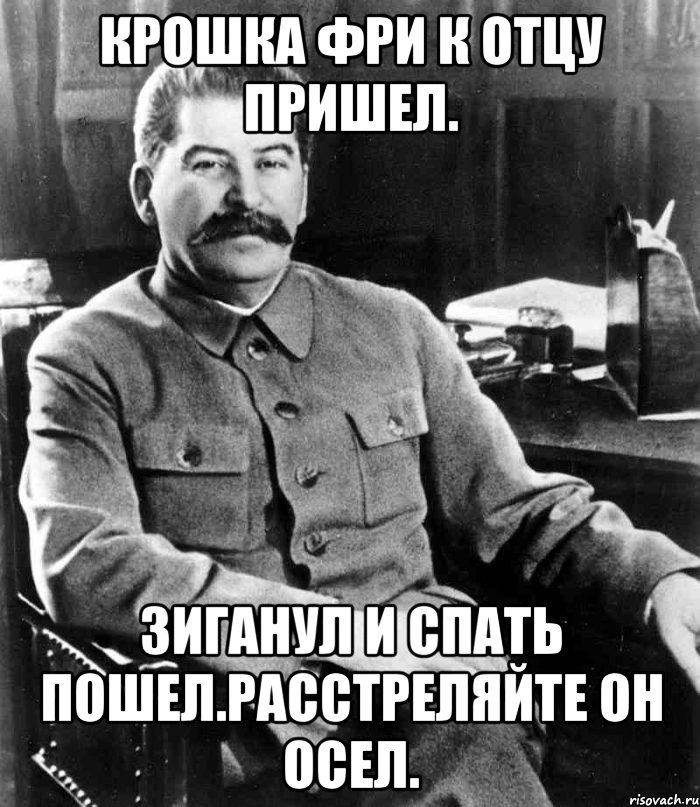 Крошка фри к отцу пришел. Зиганул и спать пошел.Расстреляйте он осел., Мем  иосиф сталин