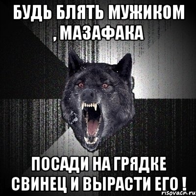 Будь блять мужиком , мазафака Посади на грядке свинец и вырасти его !, Мем Сумасшедший волк