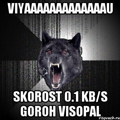 VIYAAAAAAAAAAAAAU SKOROST 0.1 kb/s GOROH VISOPAL, Мем Сумасшедший волк