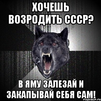 Хочешь возродить СССР? В яму залезай и закапывай себя сам!