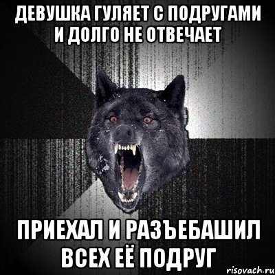 девушка гуляет с подругами и долго не отвечает приехал и разъебашил всех её подруг, Мем Сумасшедший волк