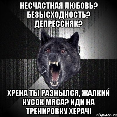 НЕСЧАСТНАЯ ЛЮБОВЬ? БЕЗЫСХОДНОСТЬ? ДЕПРЕССНЯК? ХРЕНА ТЫ РАЗНЫЛСЯ, ЖАЛКИЙ КУСОК МЯСА? ИДИ НА ТРЕНИРОВКУ ХЕРАЧ!, Мем Сумасшедший волк