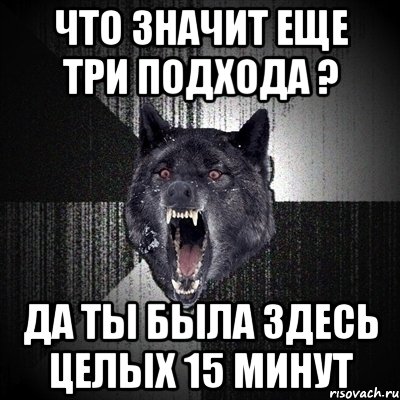 что значит еще три подхода ? да ты была здесь целых 15 минут, Мем Сумасшедший волк