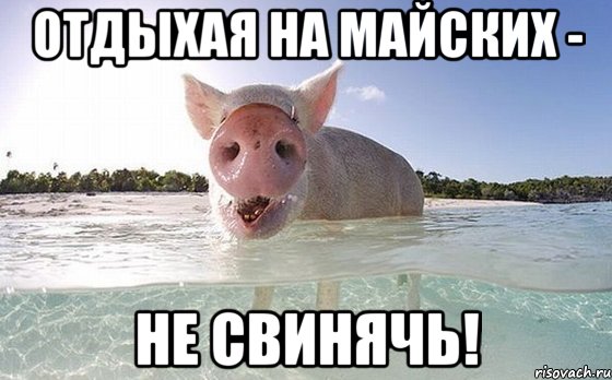 Отдыхая на майских - не свинячь!