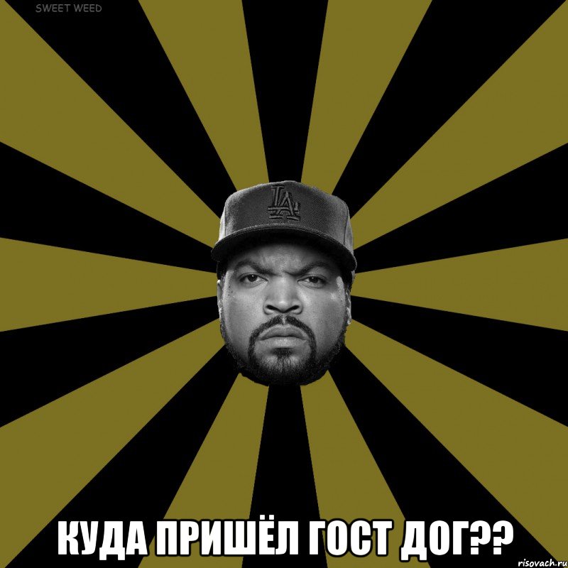  Куда пришёл гост дог??
