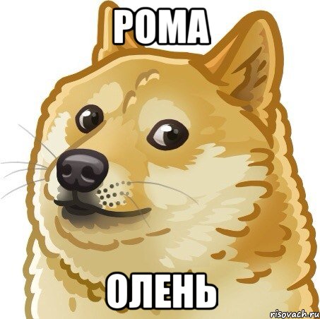 Рома Олень, Мем Doge