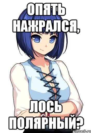 Опять нажрался, Лось полярный?