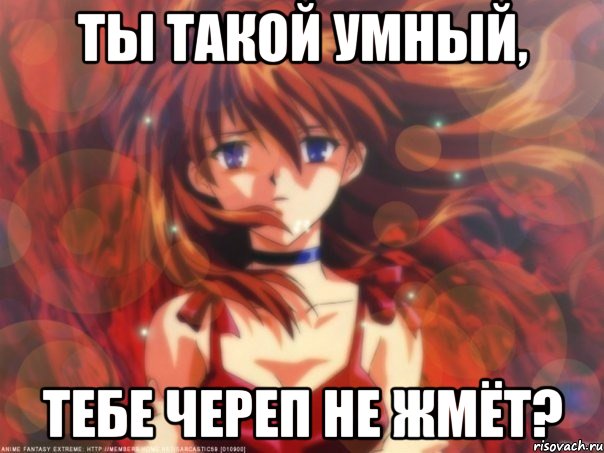 Ты такой умный, Тебе череп не жмёт?, Мем Типичная Марион