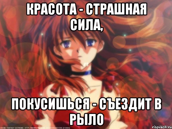 Красота - страшная сила, Покусишься - съездит в рыло