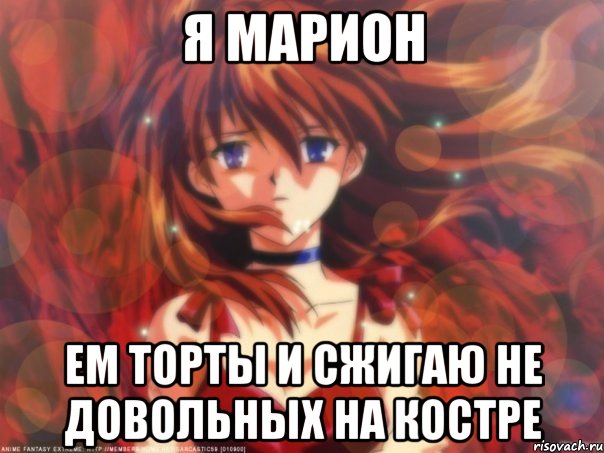 Я Марион Ем торты и сжигаю не довольных на костре
