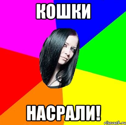 КОШКИ НАСРАЛИ!, Мем Типичная Миша