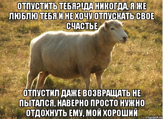 Отпустить тебя?!Да никогда, я же люблю тебя и не хочу отпускать свое счастье Отпустил даже возвращать не пытался, наверно просто нужно отдохнуть ему, мой хороший