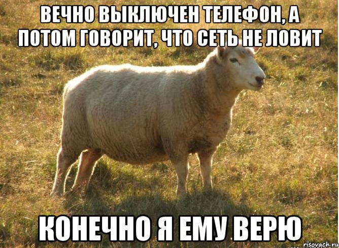 вечно выключен телефон, а потом говорит, что сеть не ловит конечно я ему верю, Мем Типичная овца
