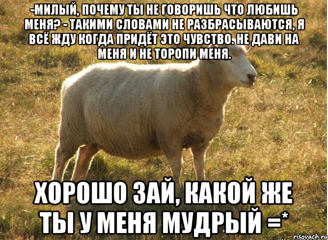 -милый, почему ты не говоришь что любишь меня? - Такими словами не разбрасываются, я всё жду когда придёт это чувство. Не дави на меня и не торопи меня. хорошо зай, какой же ты у меня мудрый =*, Мем Типичная овца