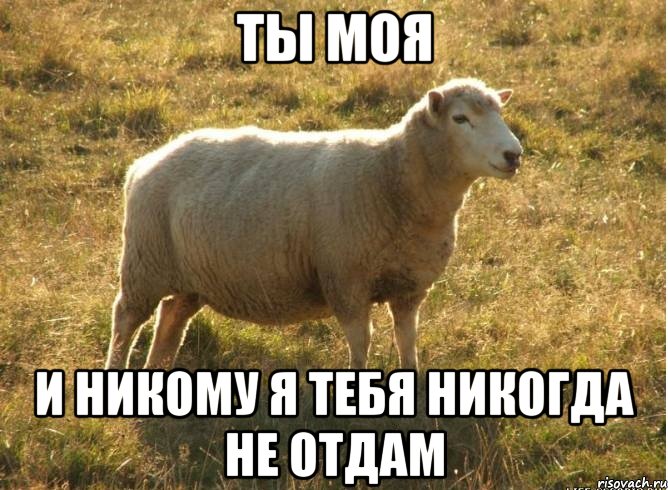 Ты моя И никому я тебя никогда не отдам