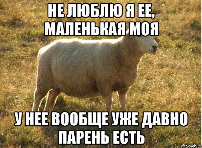 Не люблю я ее, маленькая моя У нее вообще уже давно парень есть, Мем Типичная овца