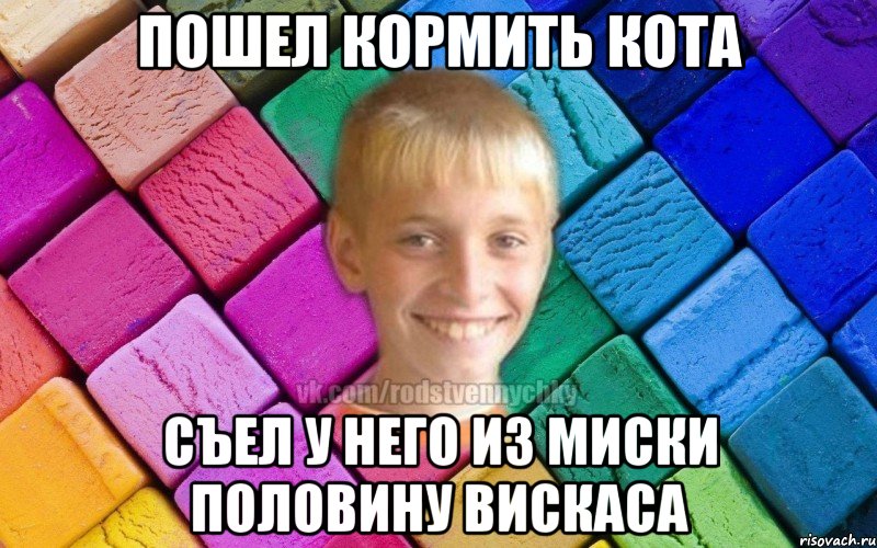 Пошел кормить кота Съел у него из миски половину вискаса