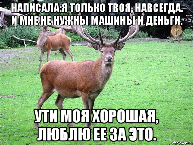 Написала:Я только твоя, навсегда. И мне не нужны машины и деньги. Ути моя хорошая, люблю ее за это.