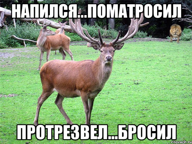 Напился...поматросил Протрезвел...бросил