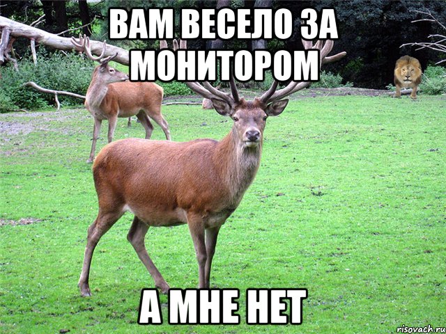 Вам весело за монитором А мне нет