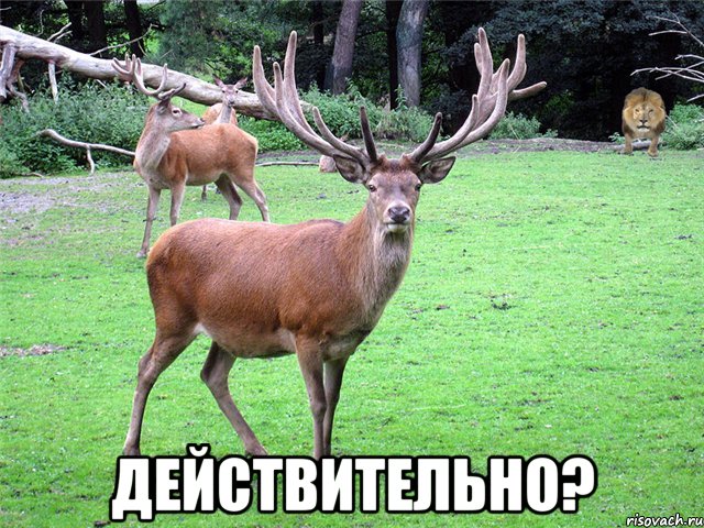  действительно?
