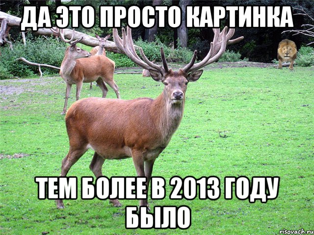 Да это просто картинка Тем более в 2013 году было