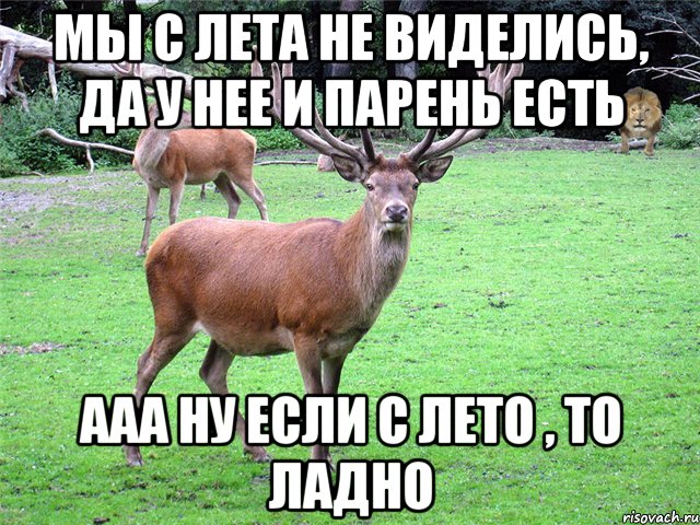 Мы с лета не виделись, да у нее и парень есть Ааа ну если с лето , то ладно