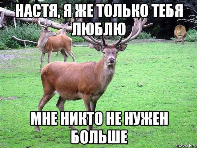 Настя, я же только тебя люблю Мне никто не нужен больше
