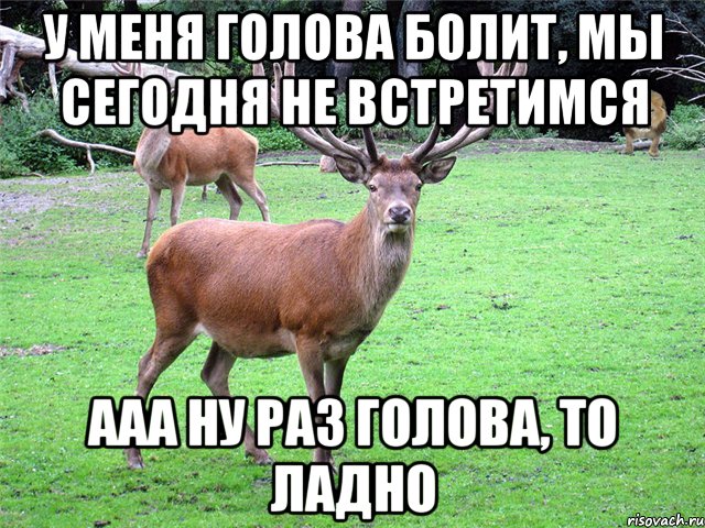 У меня голова болит, мы сегодня не встретимся Ааа ну раз голова, то ладно