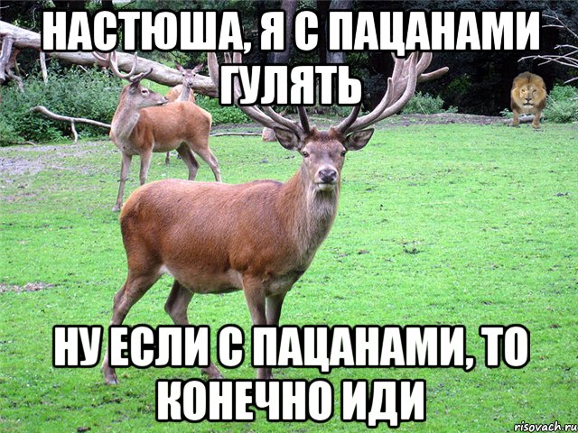 Настюша, я с пацанами гулять Ну если с пацанами, то конечно иди