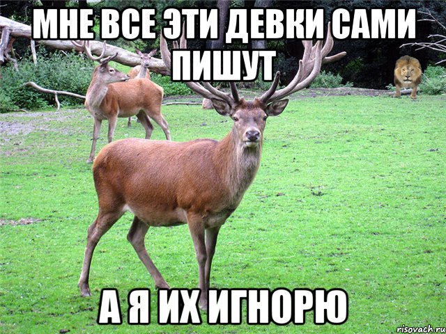 Мне все эти девки сами пишут А я их игнорю